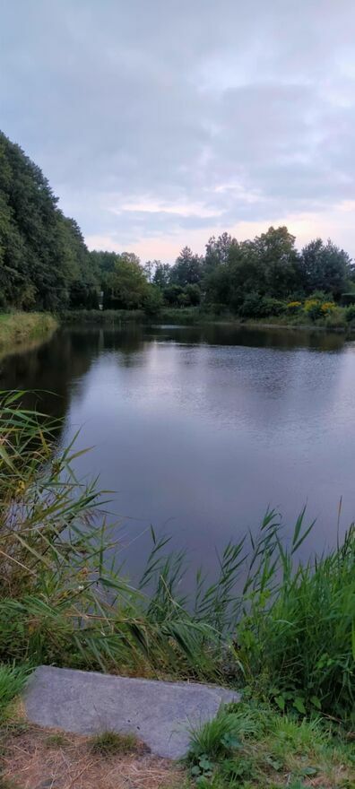 Działka rod Gostynin Bratoszewo. Zdjęcie 15