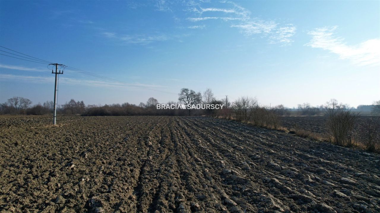 Działka Popędzyna. Zdjęcie 16