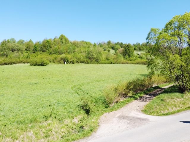Działka budowlana Baligród, ul. Balów. Zdjęcie 3