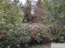 Działka rod Kielce, ul. Leśniówka. Zdjęcie 1