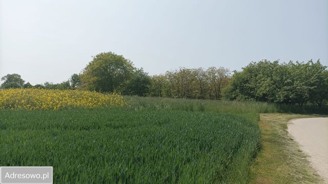 Działka budowlana Góry. Zdjęcie 1