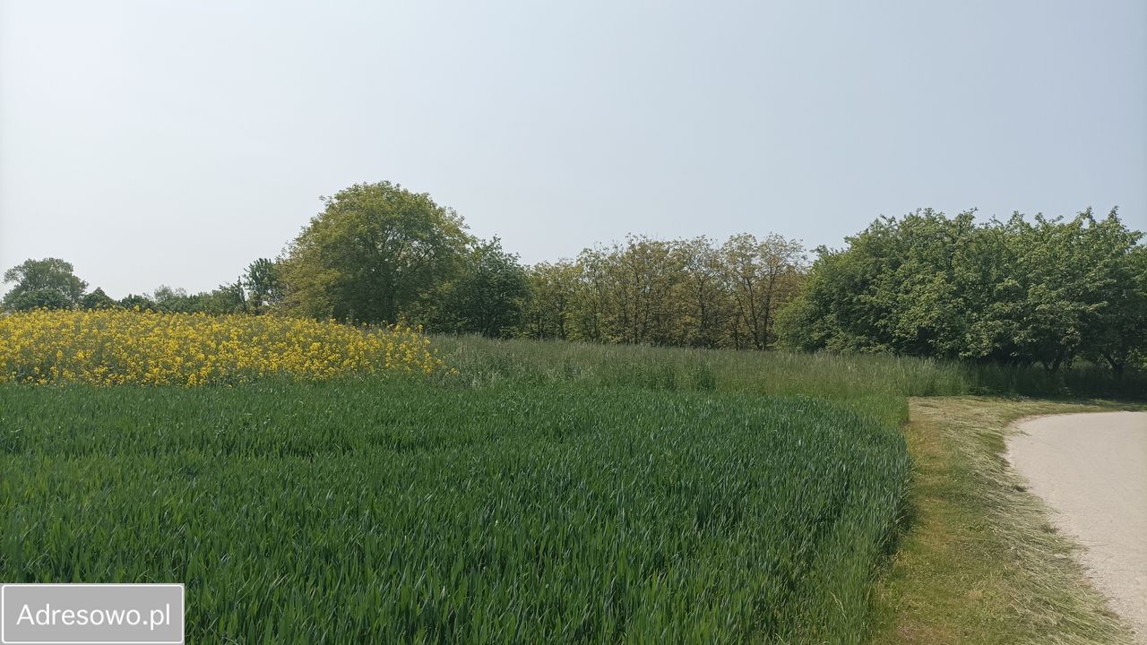 Działka budowlana Góry