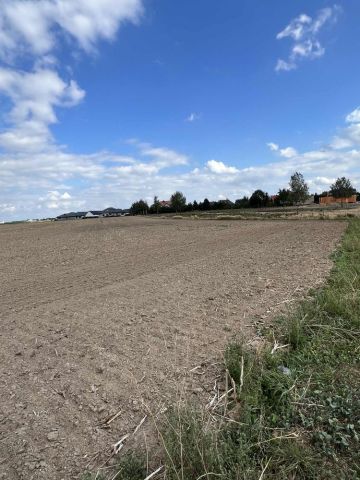 Działka budowlana Nowe Boryszewo. Zdjęcie 1