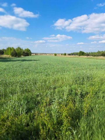Działka budowlana Krasice, ul. Cmentarna. Zdjęcie 1