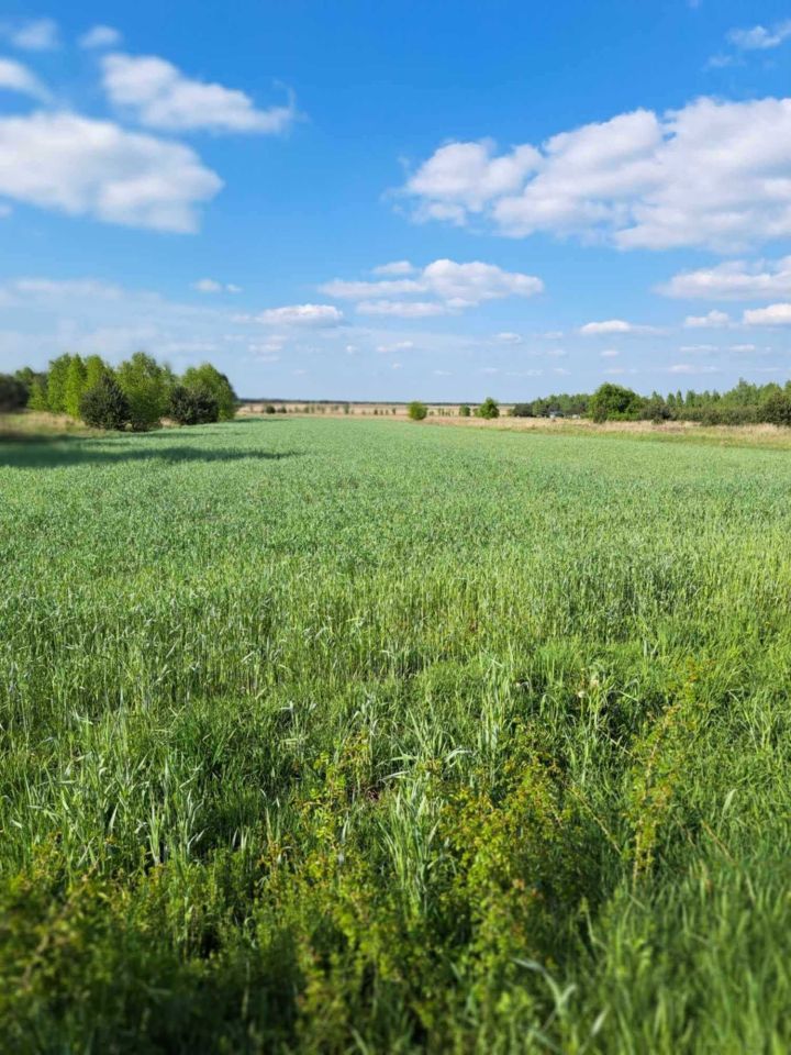 Działka budowlana Krasice, ul. Cmentarna. Zdjęcie 1
