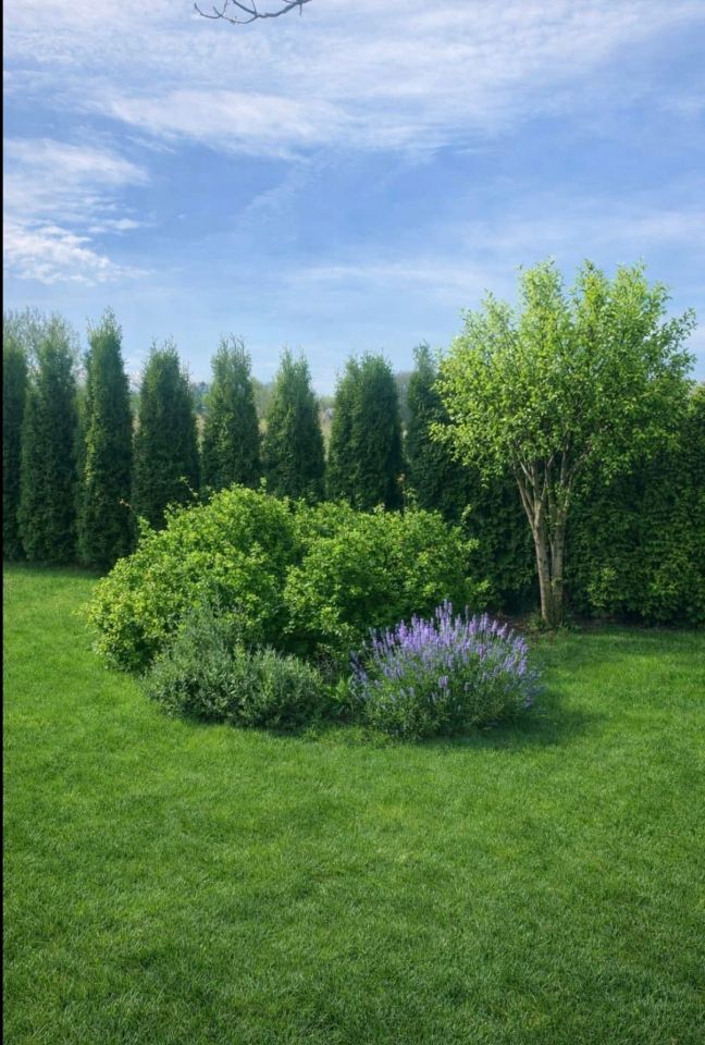 Działka rod Zamość. Zdjęcie 3