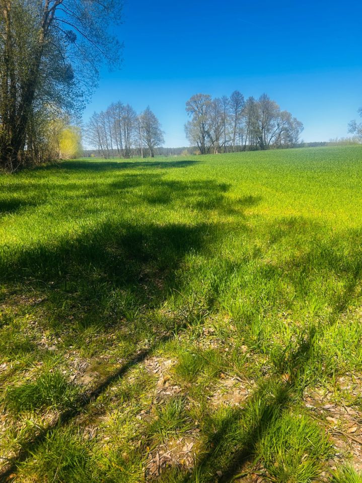 Działka rolna Zwierzyn. Zdjęcie 5