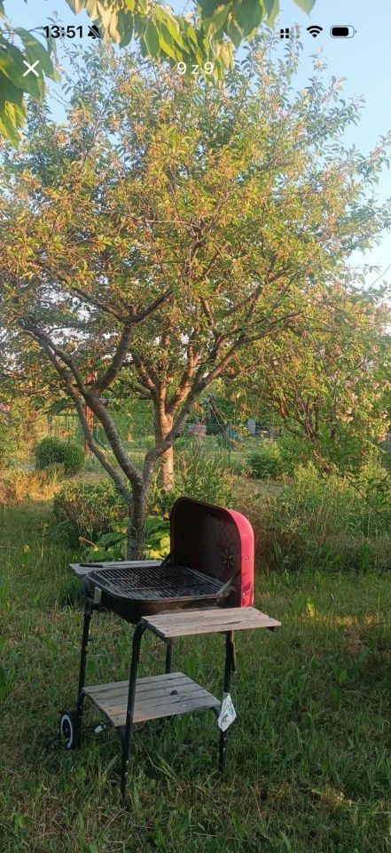 Działka rod Kwidzyn. Zdjęcie 7