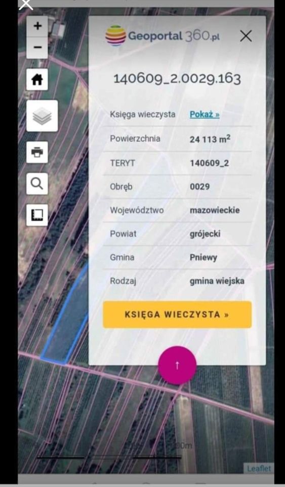 Działka rolna Przęsławice. Zdjęcie 2