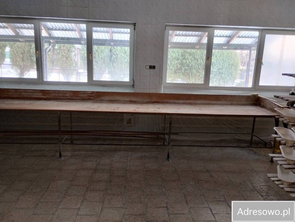 Hala/magazyn Raczyce. Zdjęcie 9