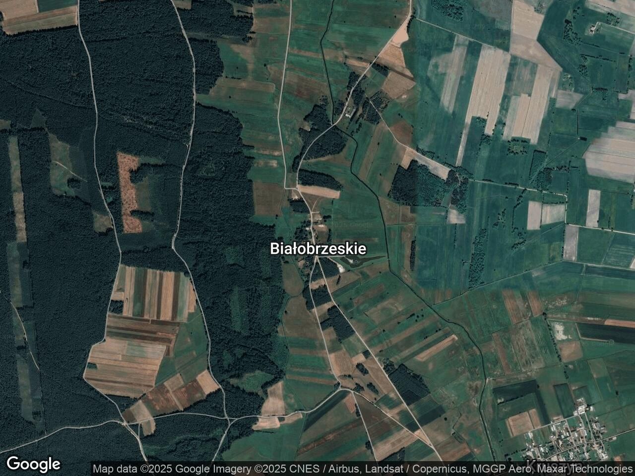 Działka budowlana Białobrzeskie. Zdjęcie 2