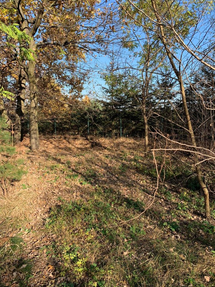 Działka budowlana Grębocin Kolonia Papowska, ul. Okrężna. Zdjęcie 10