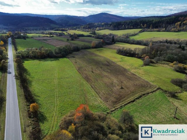 Działka rolna Daliowa. Zdjęcie 9