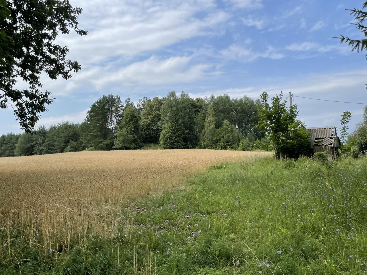 Działka rolno-budowlana Kopczany. Zdjęcie 8