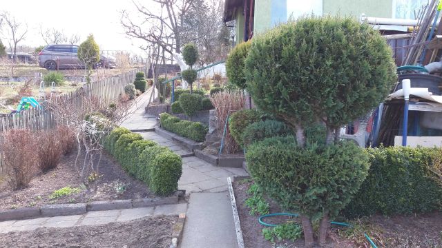 Działka rod Miastko. Zdjęcie 1