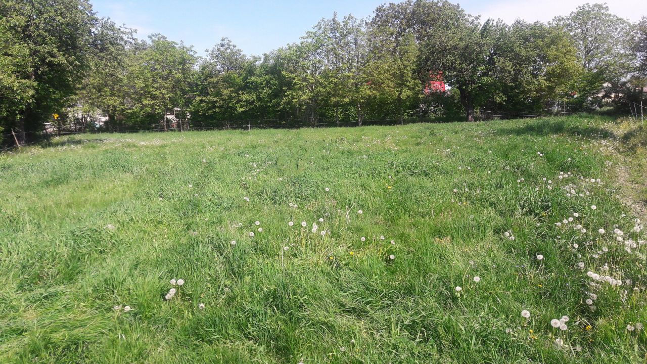 Działka inwestycyjna Kazimierz Dolny Dąbrówka, Dąbrówka. Zdjęcie 2