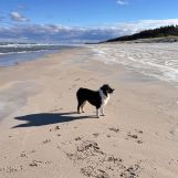 Działka budowlana Karwieńskie Błoto Drugie, ul. Wczasowa. Zdjęcie 4