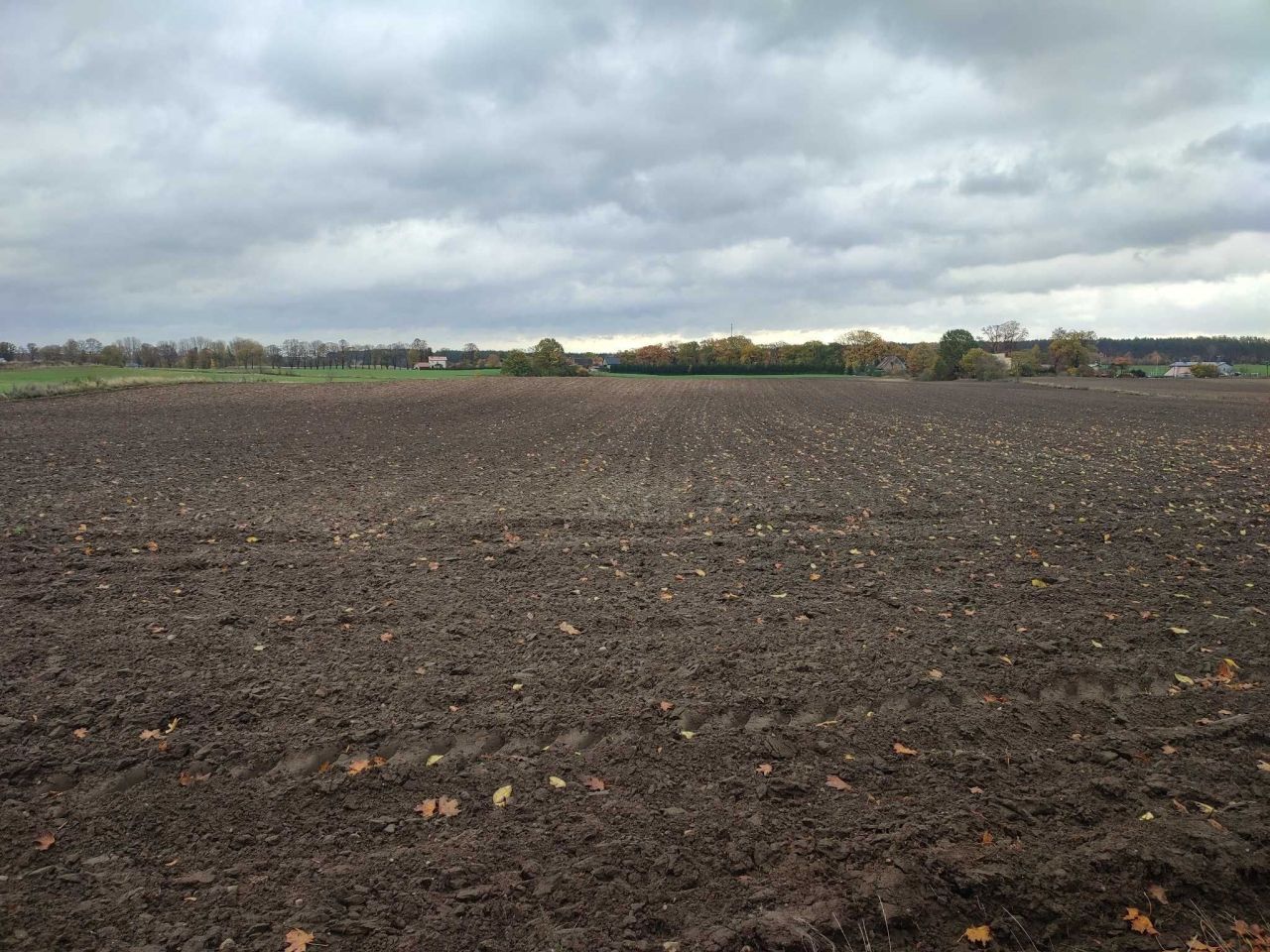 Działka rolna Czaplinek, ul. Pławieńska. Zdjęcie 3