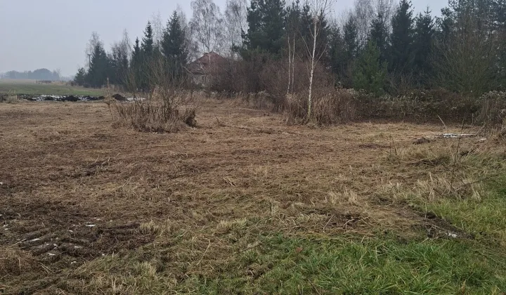 Działka siedliskowa Królikowice, ul. Orzechowa