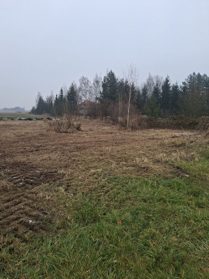 Działka siedliskowa Królikowice, ul. Orzechowa