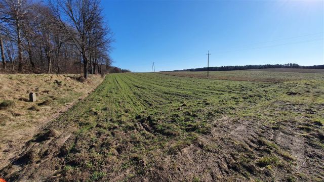 Działka budowlana Zaspy Małe. Zdjęcie 8