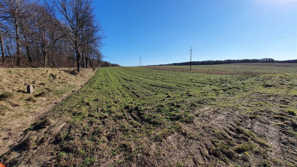 Działka budowlana Zaspy Małe. Zdjęcie 8