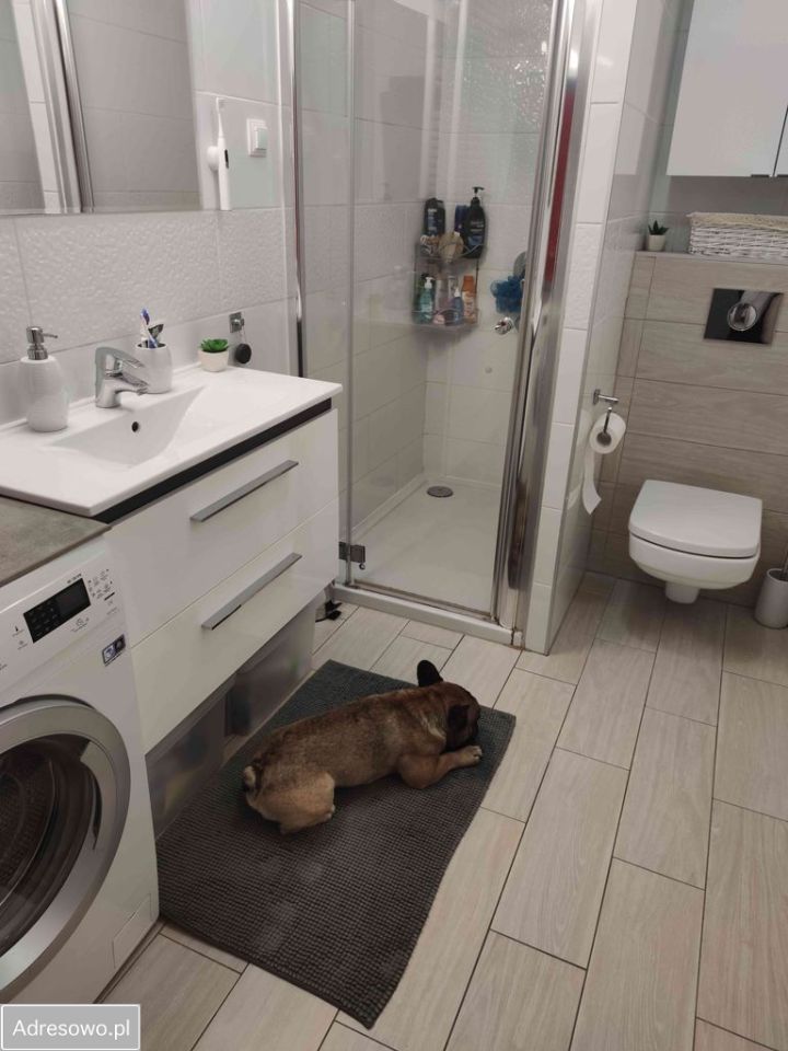 Mieszkanie 2-pokojowe Wrocław Fabryczna, ul. Graniczna. Zdjęcie 7