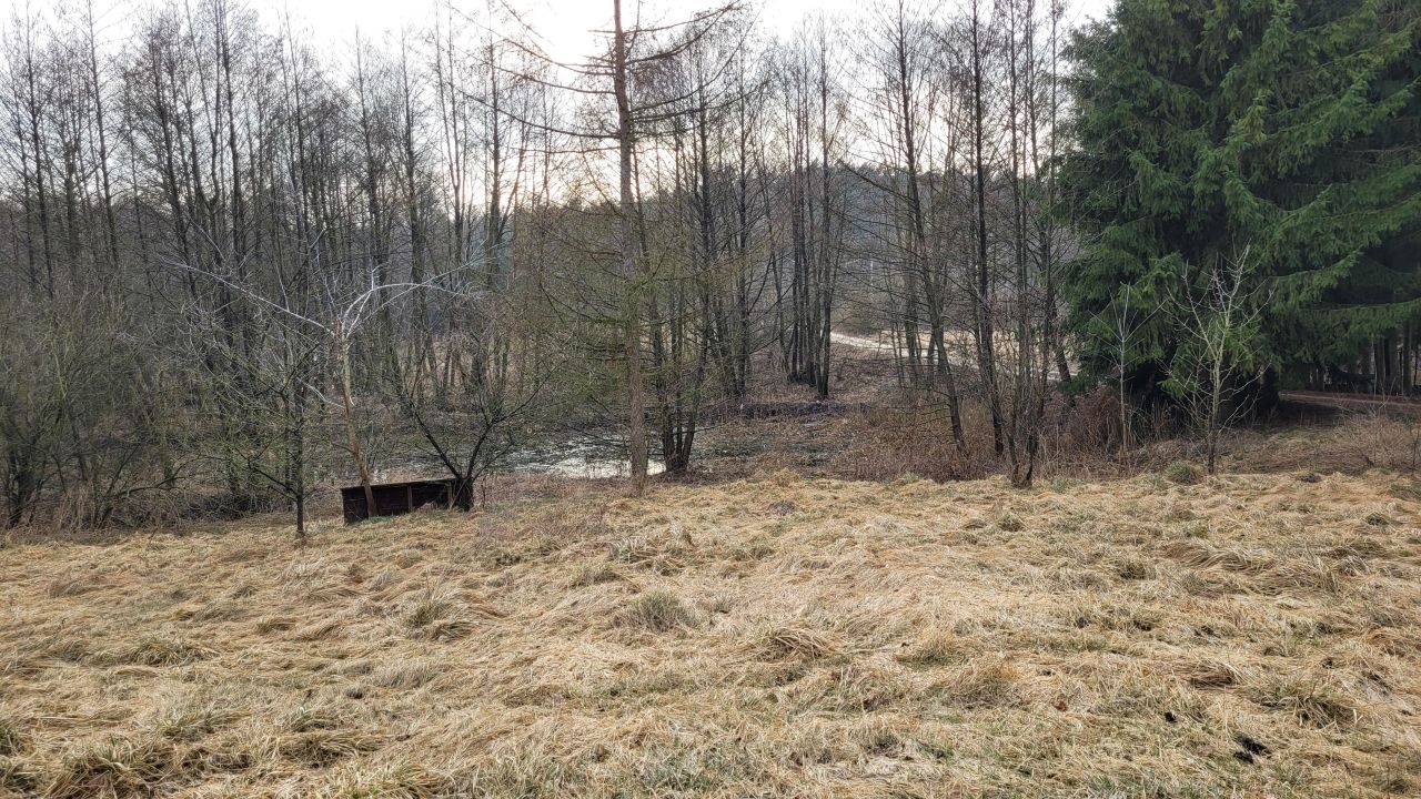 siedlisko, 4 pokoje Kazubek. Zdjęcie 7