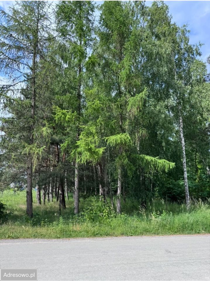 Działka budowlana Stara Wieś, ul. Głogowa. Zdjęcie 10