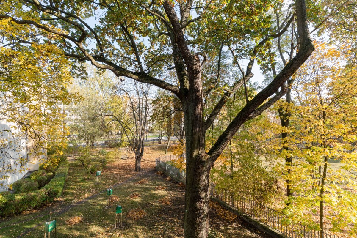 Mieszkanie 3-pokojowe Warszawa Mokotów, ul. Jana III Sobieskiego. Zdjęcie 12