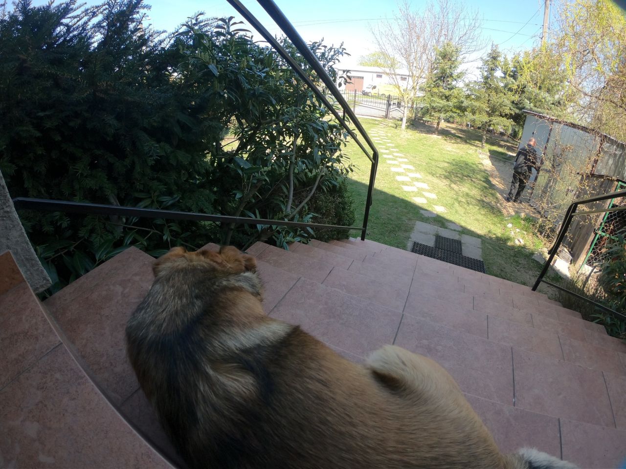 dom wolnostojący, 5 pokoi Sadów Kopce, ul. Powstańców Śląskich. Zdjęcie 85