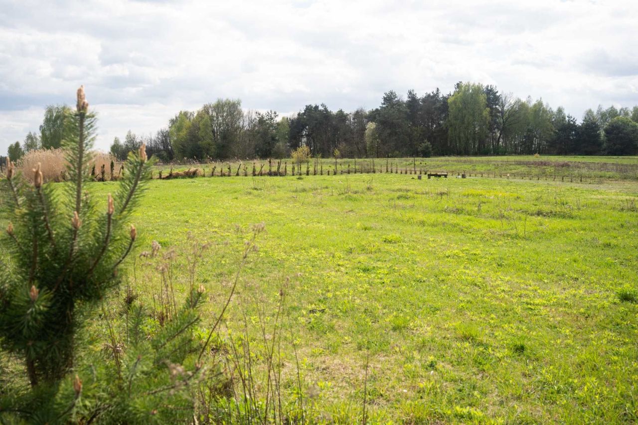 Działka budowlana Wola Rzędzińska. Zdjęcie 6