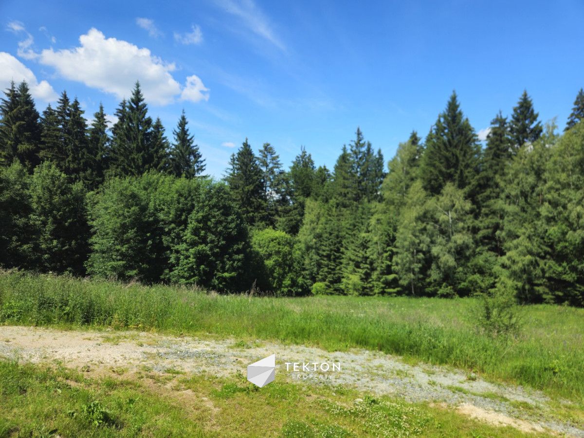 Działka budowlana Duszniki-Zdrój Zieleniec, ul. Sudecka. Zdjęcie 2