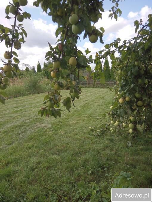 Działka rod Gołdap, ul. Bagienna. Zdjęcie 4