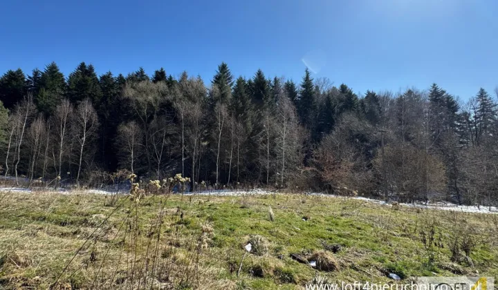 Działka budowlana Januszowa