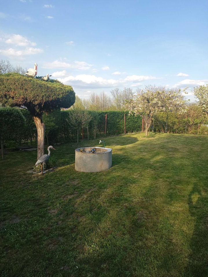 Działka rod Katowice Załęska Hałda