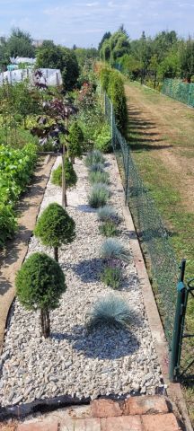 Działka rod Tarnobrzeg Wymysłów, ul. Modrzewiowa. Zdjęcie 1