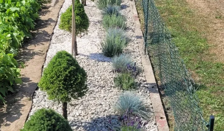 Działka rod Tarnobrzeg Wymysłów, ul. Modrzewiowa