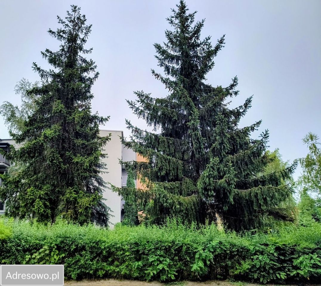 Mieszkanie 4-pokojowe Częstochowa Północ, ul. Andersa. Zdjęcie 20