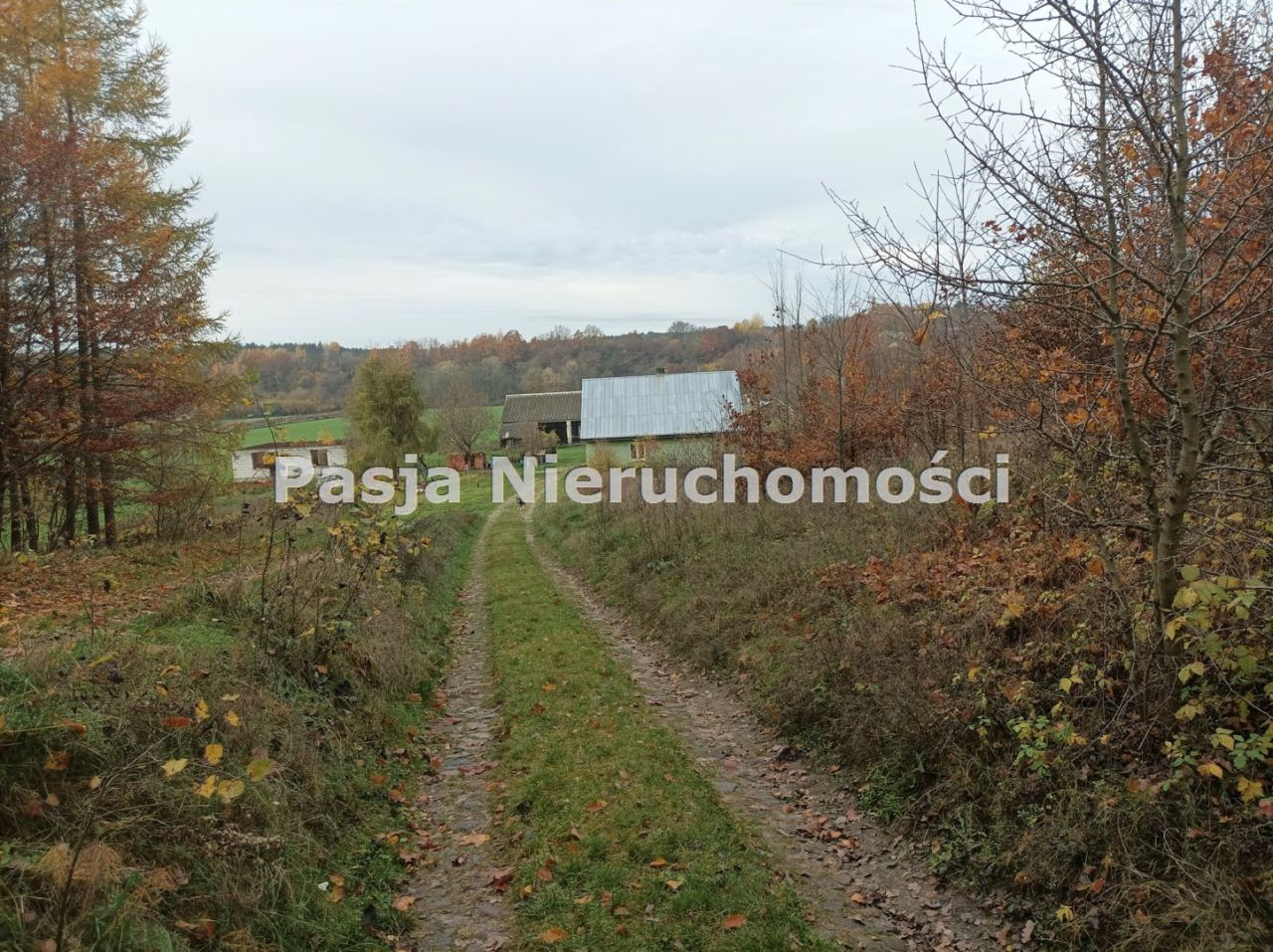 dom wolnostojący, 5 pokoi Parzeń. Zdjęcie 10