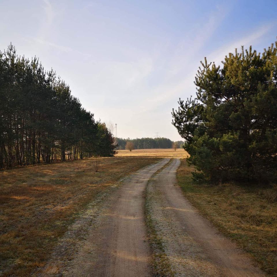Działka rolno-budowlana Leżenice, ul. Dworska. Zdjęcie 7