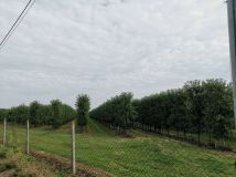 gospodarstwo Koszajec. Zdjęcie 4