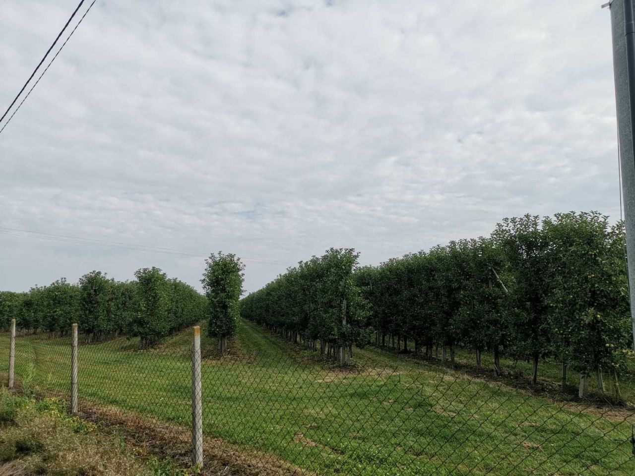 gospodarstwo Koszajec. Zdjęcie 5