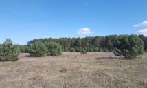 Działka rolna Silna. Zdjęcie 1