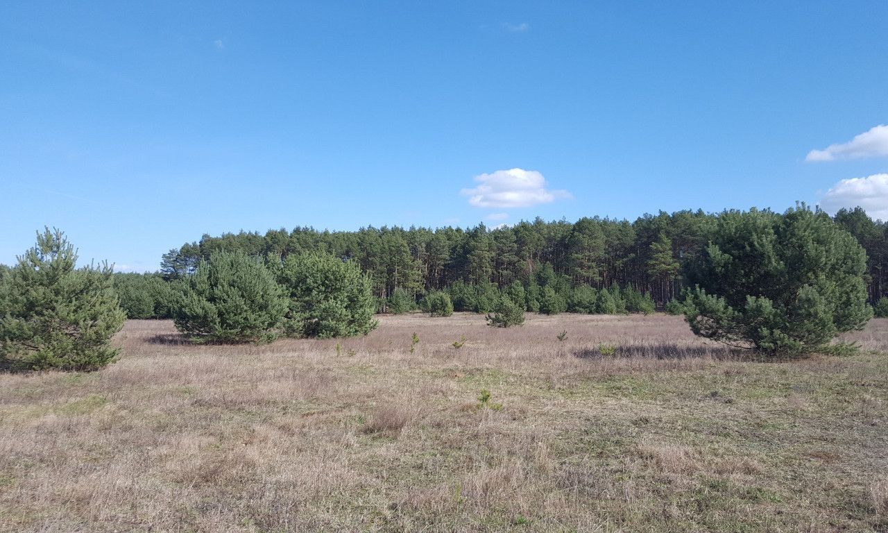 Działka rolna Silna. Zdjęcie 2