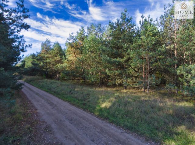 Działka rekreacyjna Maróz. Zdjęcie 11