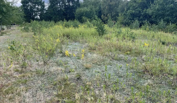 Działka budowlana Powązki