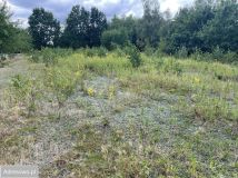 Działka budowlana Powązki