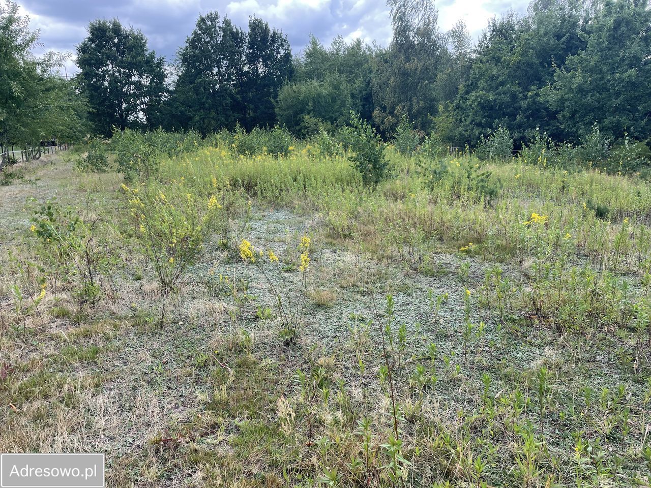 Działka budowlana Powązki