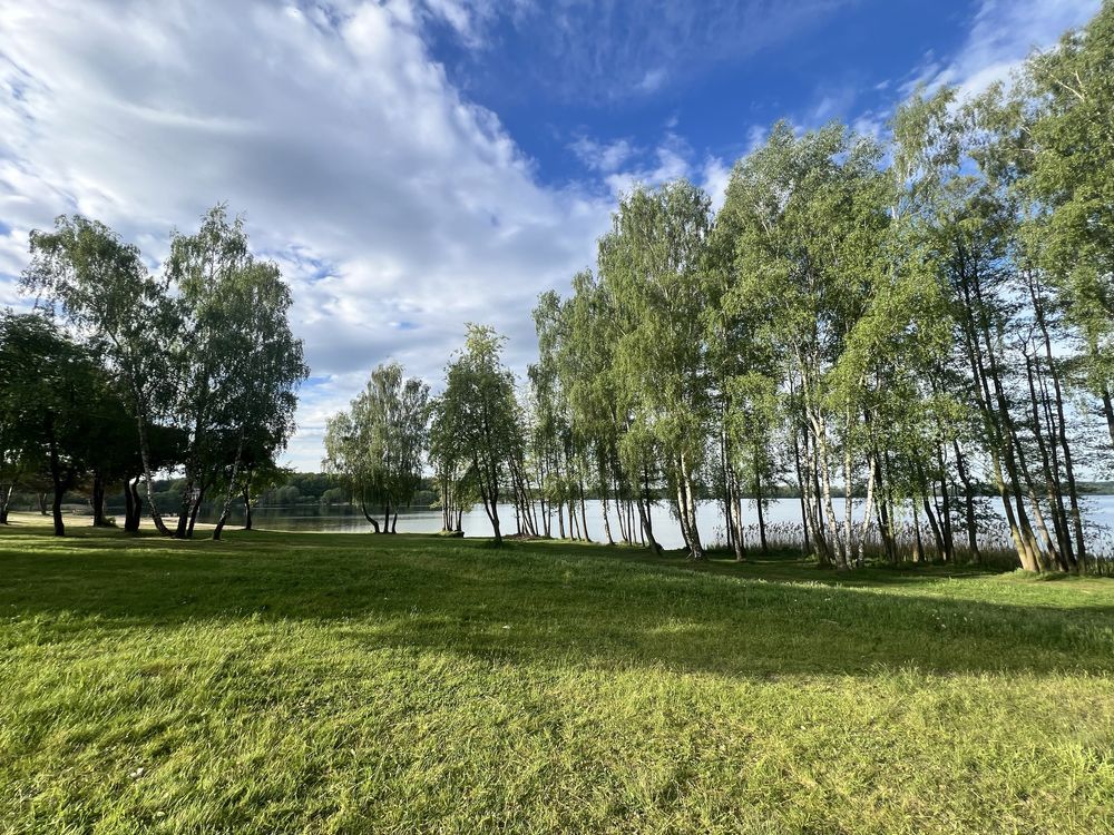 dom letniskowy Niewiesze. Zdjęcie 8